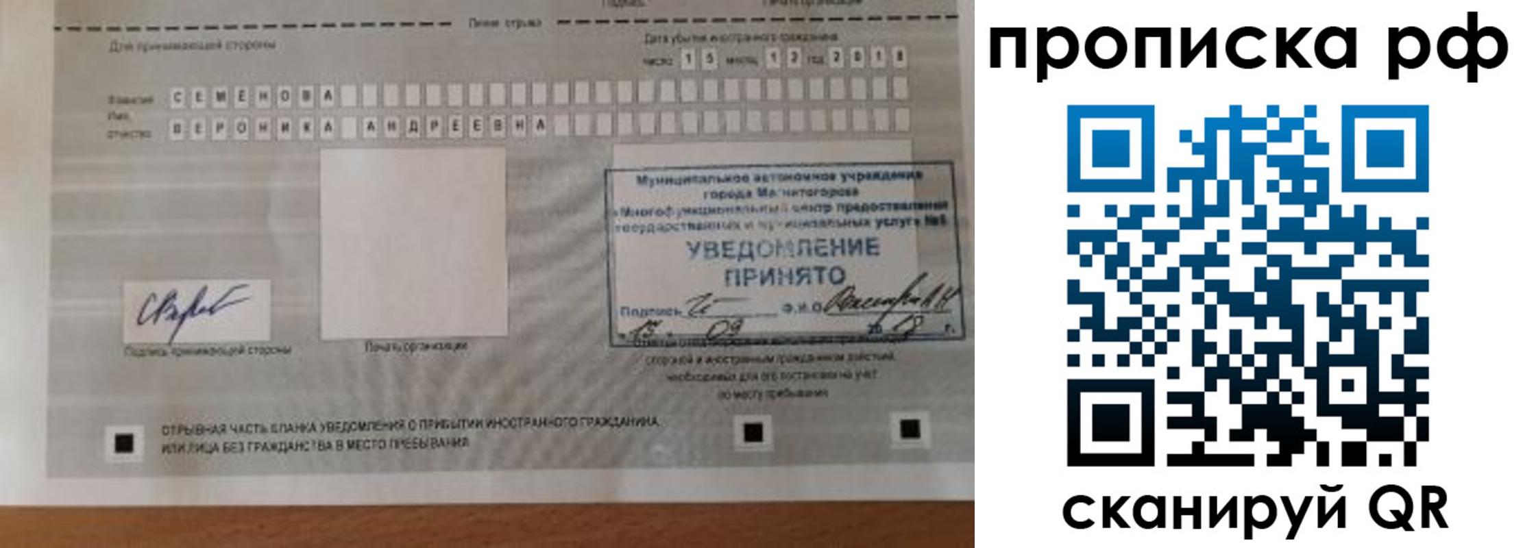 прописка паспорт в Каргополе