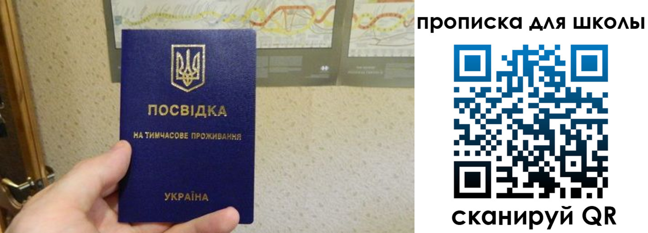 найти адрес прописки в Каргополе